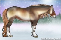 Horse Color:Liver Red Onyx Rabicano