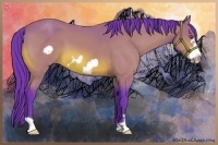 Horse Color:Watercolor Bay Frame 
