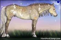 Horse Color:White Spotted Chocolate Silver Smoky Grullo Chinchilla Sabino 