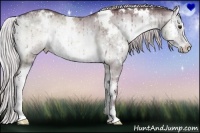 Horse Color:White Spotted Chocolate Silver Grullo Chinchilla Onyx Sabino