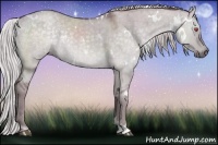 Horse Color:White Spotted Chocolate Silver Grullo Chinchilla Brindle 