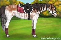 Horse Color:White Spotted Bay Splash  and White Spotted Bay Splash Frame 