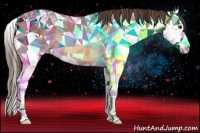 Horse Color:Buckskin Splash Appaloosa Rabicano