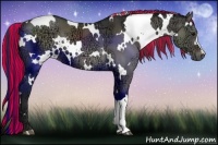 Horse Color:Painted White Spotted Grullo Ice