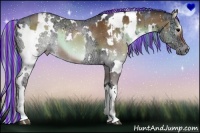 Horse Color:Painted White Spotted Silver Brown Onyx and Painted White Spotted Silver Brown Ice Dun