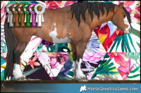 Horse Color:Brown Rabicano