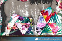 Horse Color:Grullo Sabino 