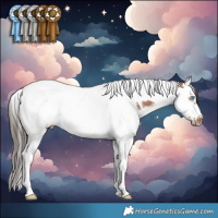 Horse Color:Bay Splash Tobiano Frame Varnish Rabicano