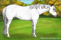 Horse Color:Bay Splash Tobiano Frame Varnish Rabicano