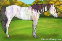 Horse Color:Nacre Brown Ice Roan Dun