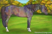 Horse Color:Nacre Brown Roan