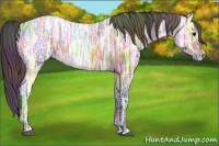 Horse Color:Nacre Bay Ice 