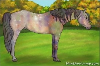 Horse Color:Nacre Buckskin