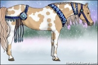 Horse Color:Palomino Tobiano 