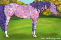 Horse Color:Watercolor Brown Ice