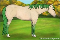 Horse Color:Watercolor Bay Dun
