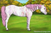 Horse Color:Watercolor Bay Ice Roan Rabicano 