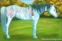 Horse Color:Thunderstruck Blue Ice Roan Splash Appaloosa Rabicano 