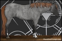 Horse Color:Liver Red Roan Sabino Rabicano 