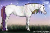 Horse Color:Painted Nacre Grullo Ice Onyx Appaloosa