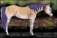 Horse Color:Watercolor Buckskin Ice Onyx Sabino Rabicano 