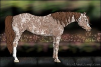 Horse Color:Chestnut Ice 