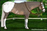 Horse Color:Silver Smoky Black Sabino Splash Appaloosa 