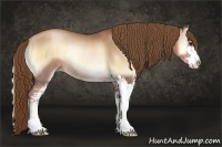 Horse Color:Liver Red Onyx Pearl Sabino Rabicano