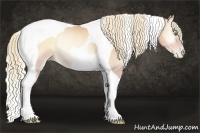 Horse Color:Gold Champagne Pearl Onyx Tobiano Rabicano
