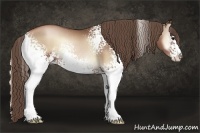 Horse Color:White Spotted Blue Onyx Pearl Sabino Rabicano 
