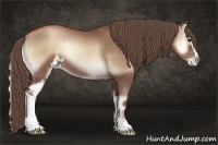 Horse Color:Blue Onyx Pearl Sabino Rabicano