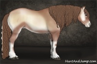 Horse Color:Blue Onyx Pearl 