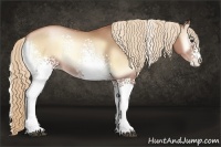 Horse Color:White Spotted Red Onyx Pearl Rabicano