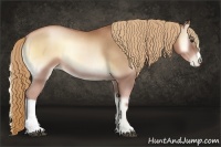 Horse Color:Red Onyx Pearl Rabicano 