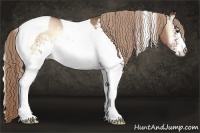 Horse Color:White Spotted Liver Red Onyx Pearl Tobiano Rabicano
