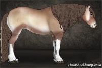 Horse Color:Blue Onyx Pearl Rabicano 