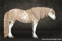 Horse Color:Liver Chestnut Pearl Sabino 