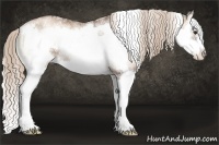 Horse Color:White Spotted Liver Red Onyx Pearl Splash Frame Rabicano 