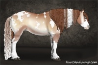 Horse Color:White Spotted Brown Pearl Onyx Splash Rabicano 