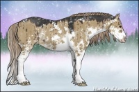 Horse Color:Liver Red Dun Sabino Rabicano