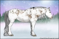 Horse Color:Brown Dun Sabino Rabicano