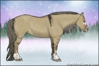 Horse Color:Liver Red Dun Sabino Rabicano 