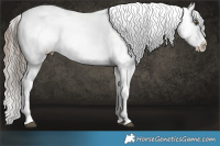 Horse Color:Silver Brown Pearl Sabino Splash Tobiano and White Spotted Brown Pearl Sabino Splash