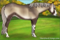 Horse Color:Silver Blue Onyx