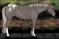 Horse Color:Silver Blue Roan Varnish 