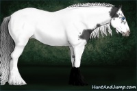 Horse Color:Smoky Black Splash Tobiano Frame 