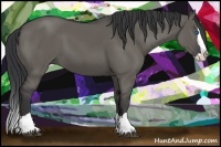 Horse Color:Grullo Splash 