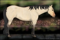 Horse Color:Bay Roan Dun 