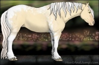 Horse Color:Silver Sable Champagne Dun Tobiano Varnish