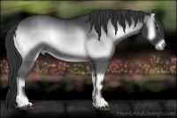 Horse Color:Smoky Blue Onyx Chinchilla 